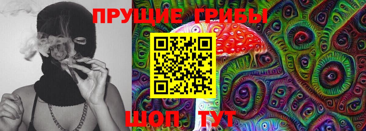 Галлюциногенные грибы MAGIC MUSHROOMS  Вход с VPN  Галлюциногенные грибы Magic Shrooms  Торжок 